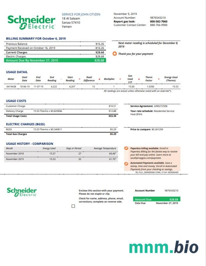 Szablon rachunku za media Jemen Schneider Electric w formacie Word i PDF